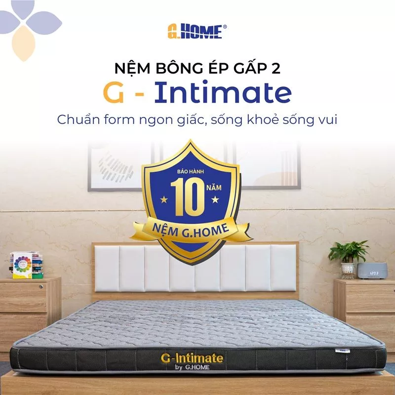 Nệm Bông Ép Gấp 2 G - Intimate