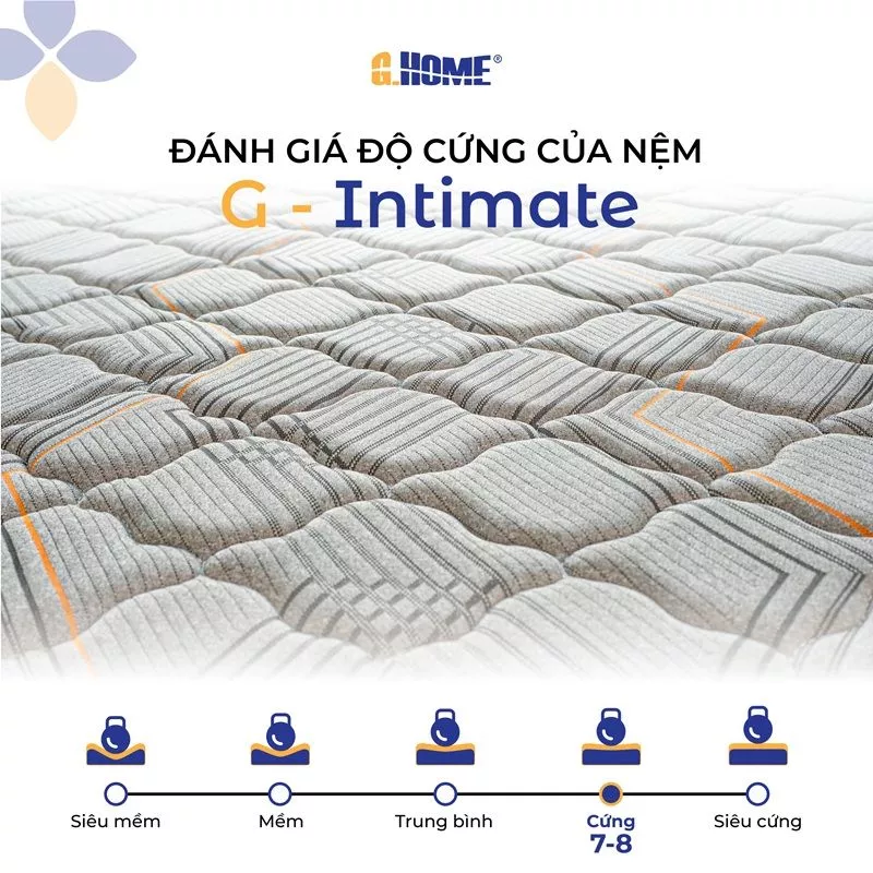 Nệm Bông Ép Gấp 2 G - Intimate
