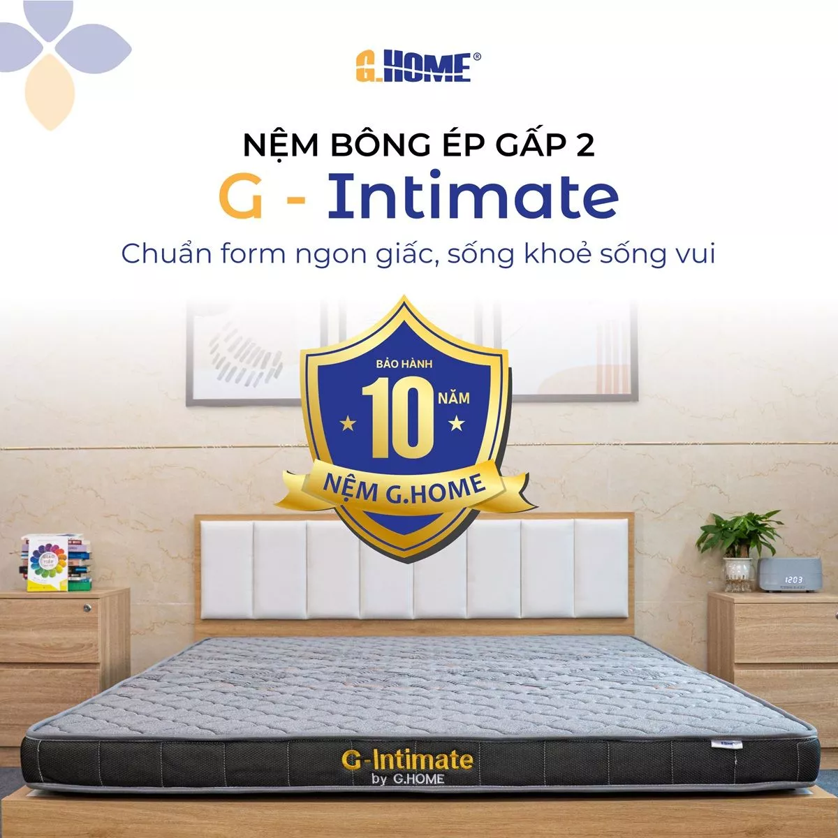 Nệm Bông Ép Gấp 2 G - Intimate