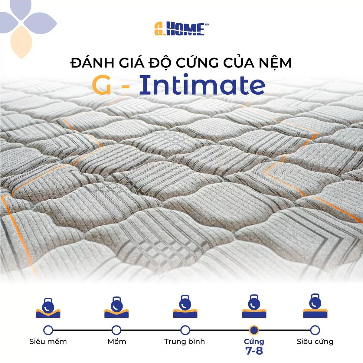 Nệm Bông Ép Gấp 2 G - Intimate