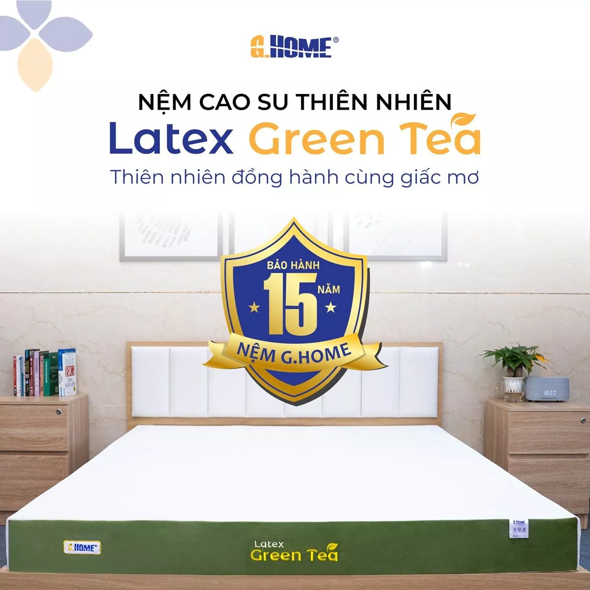 Nệm Cao Su Thiên Nhiên Latex Green Tea