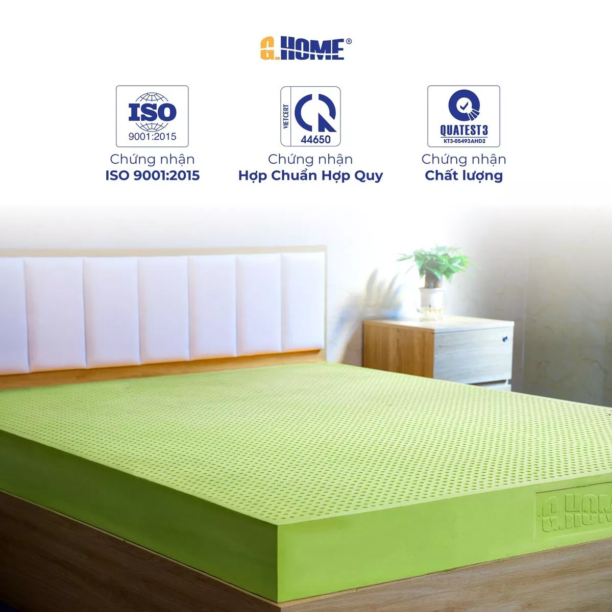 Nệm Cao Su Thiên Nhiên Latex Green Tea