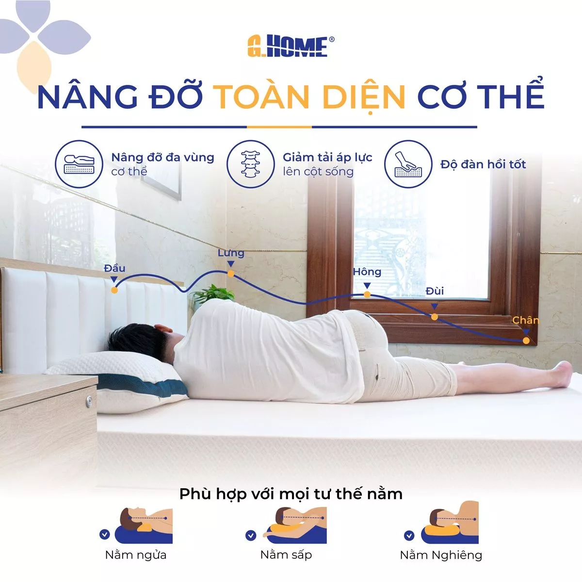 Nệm Cao Su Thiên Nhiên 100% Latex Signature