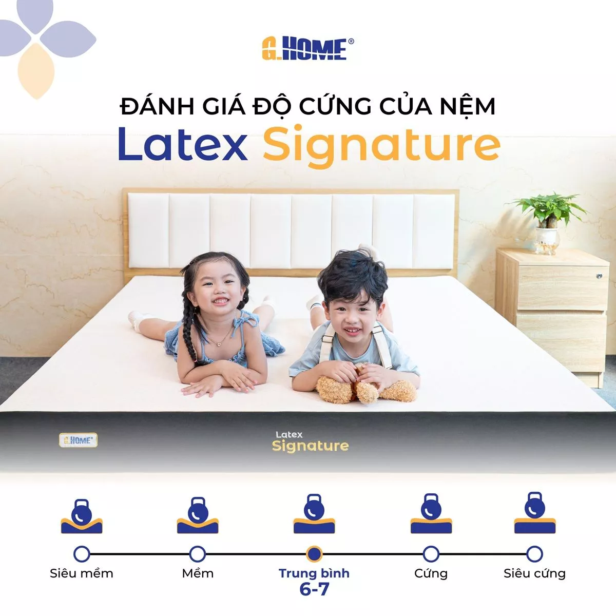 Nệm Cao Su Thiên Nhiên 100% Latex Signature
