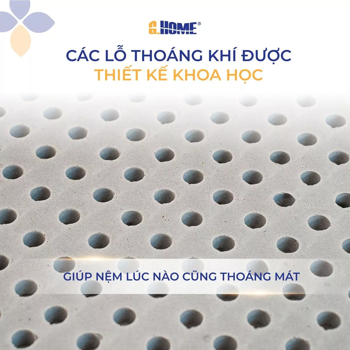 Nệm Cao Su Thiên Nhiên Hoạt Tính Latex Royal Crown