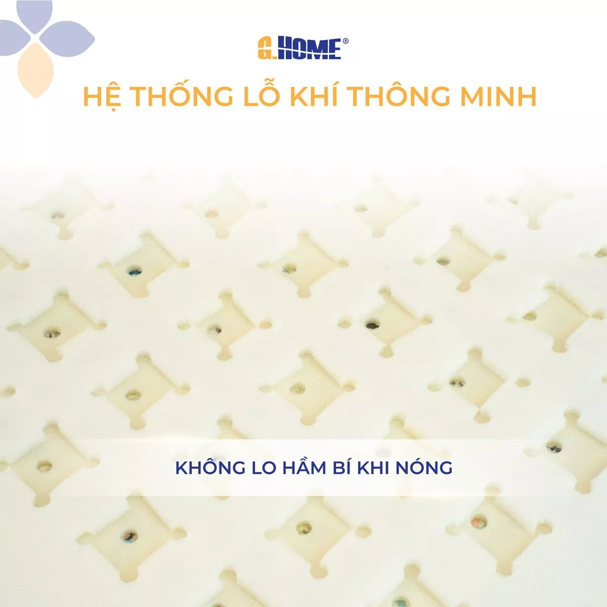 Nệm Foam Cao Su Nhân Tạo Premier Comfort