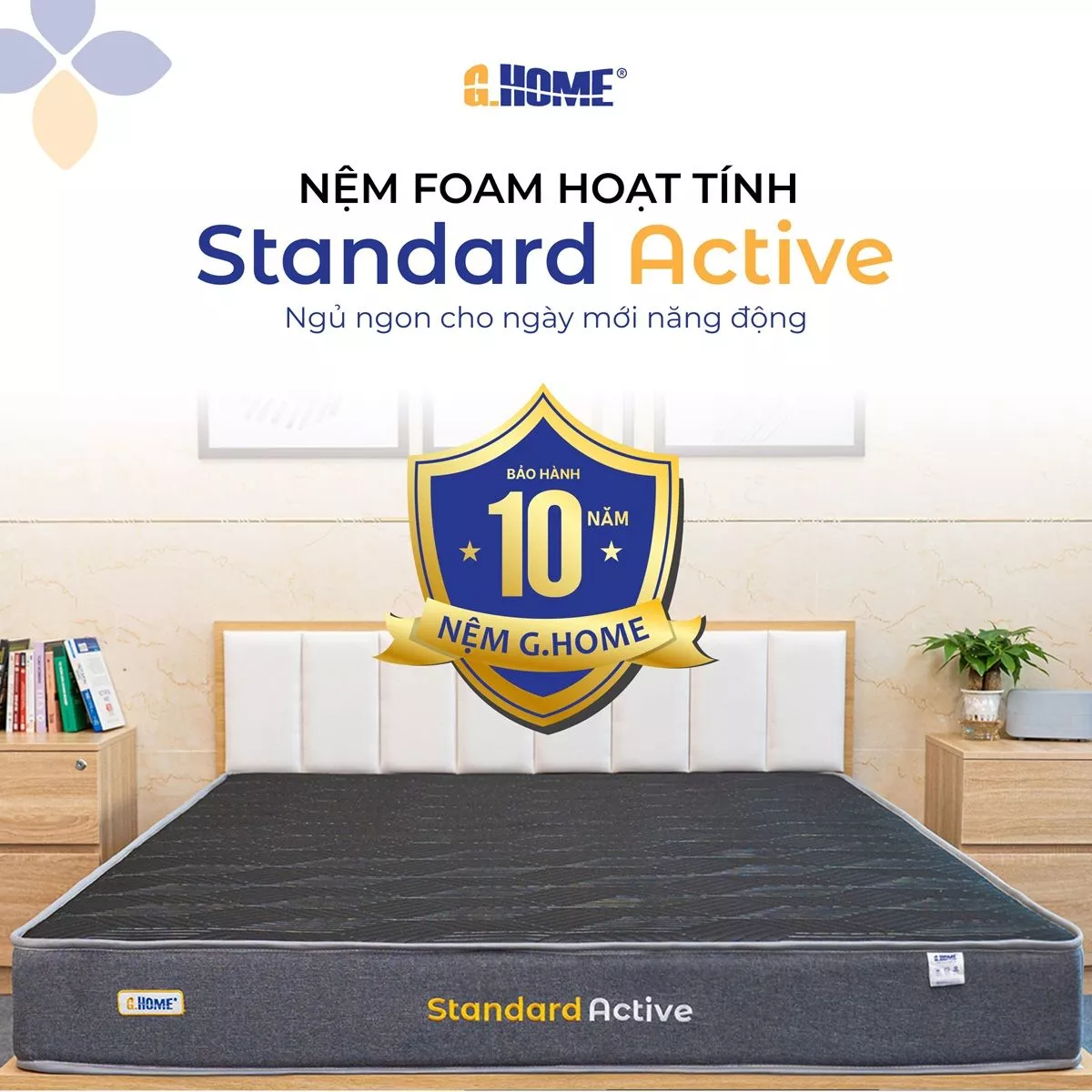 Nệm Foam Hoạt Tính Standard Active