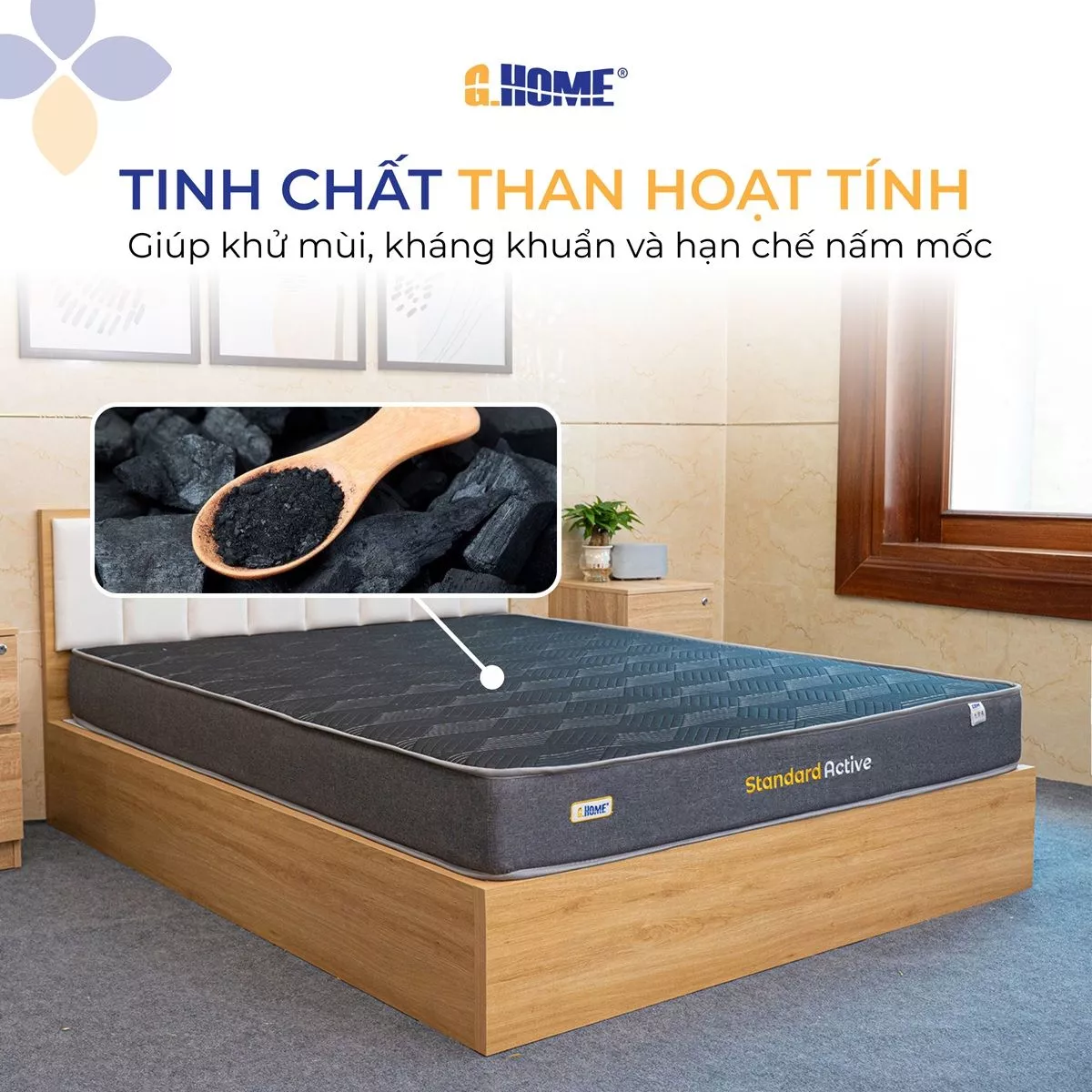 Nệm Foam Hoạt Tính Standard Active