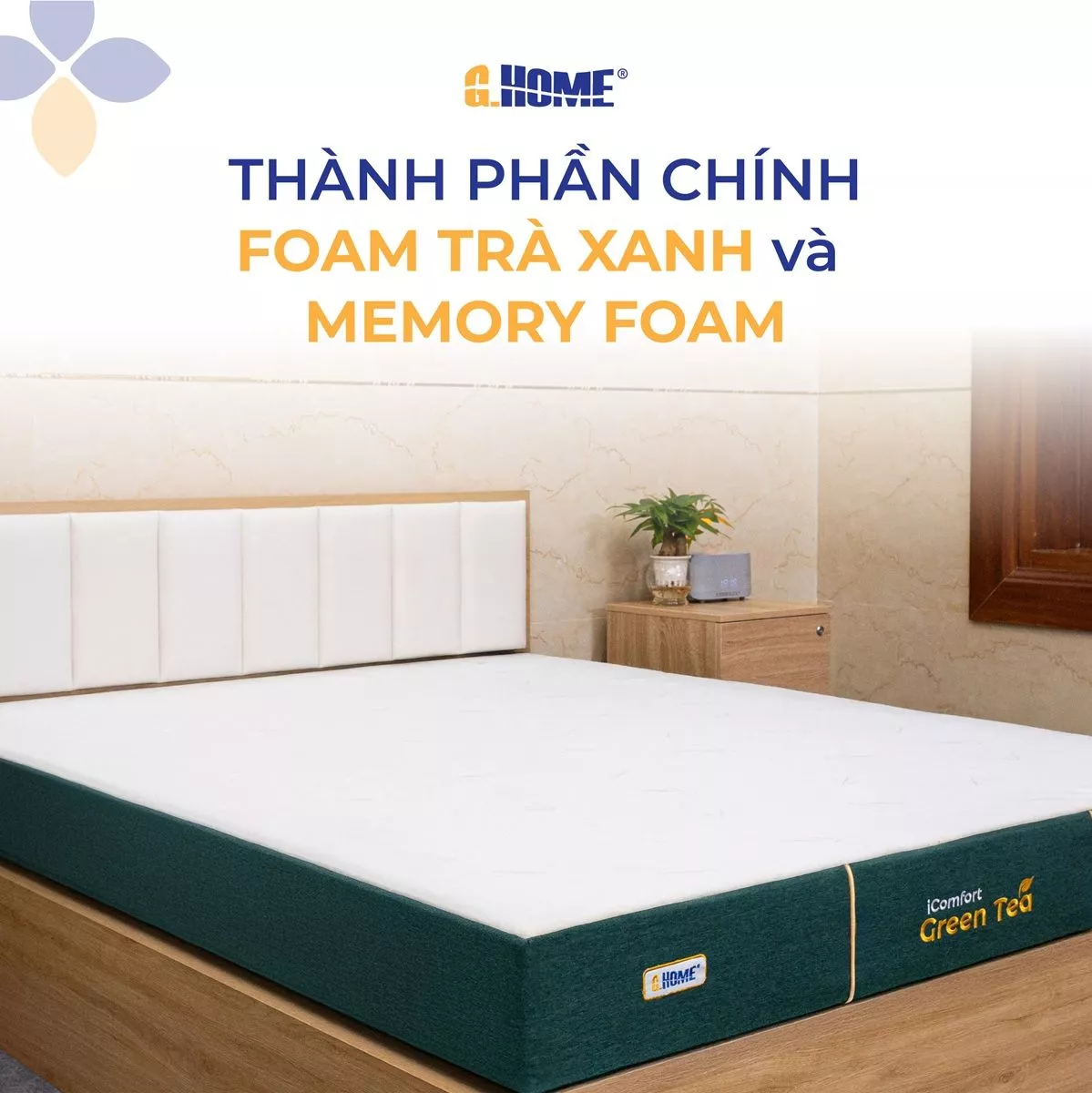 Nệm Foam iComfort Green Tea Cao Cấp