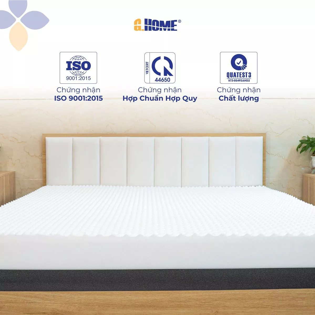 Nệm Foam Hoạt Tính iComfort Massage