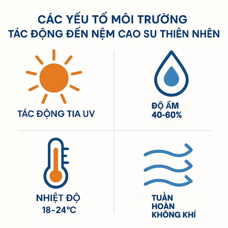 Hướng dẫn bảo quản nệm cao su thiên nhiên đúng cách