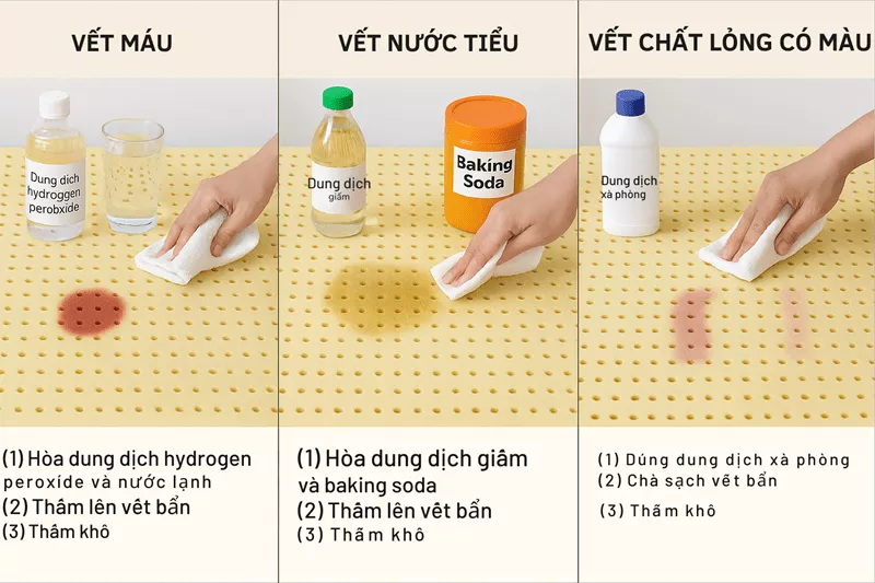 Hướng Dẫn Vệ Sinh Nệm Cao Su Thiên Nhiên Đúng Cách