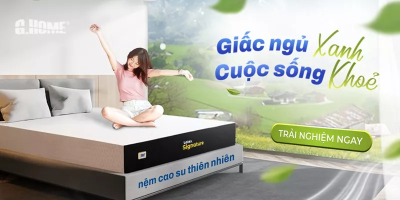 Banner Mobile