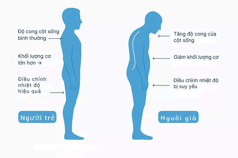 Chọn Nệm Phù Hợp Cho Người Lớn Tuổi: Ưu Tiên Sức Khỏe Và Thoải Mái