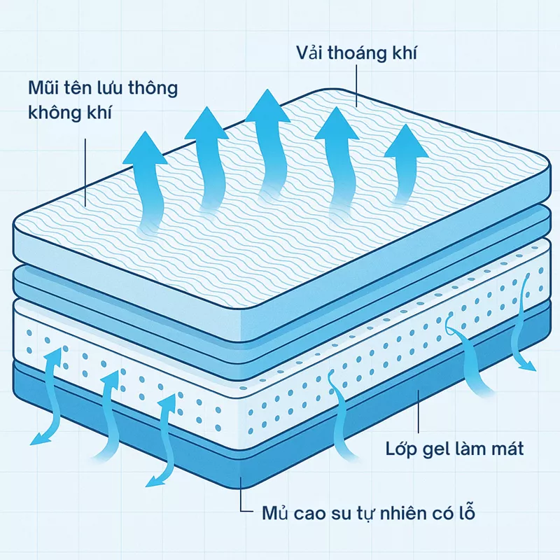 Chọn Nệm Phù Hợp Cho Người Lớn Tuổi: Ưu Tiên Sức Khỏe Và Thoải Mái