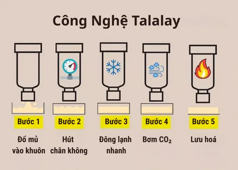nệm được sản xuất từ công nghệ Talalay