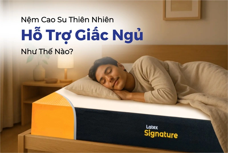 Nệm Cao Su Thiên Nhiên Hỗ Trợ Giấc Ngủ Như Thế Nào?