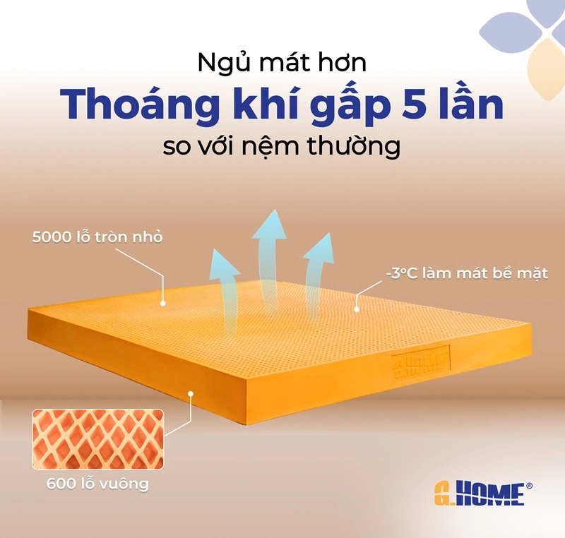 Nệm Cao Su Thiên Nhiên Hỗ Trợ Giấc Ngủ Như Thế Nào?