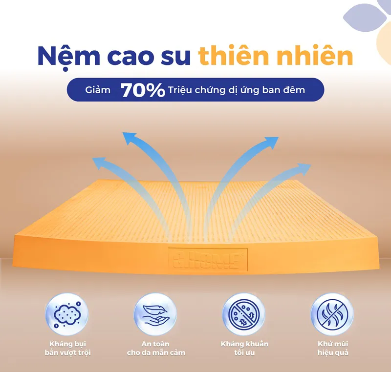 Tạo Môi Trường Nghỉ Ngơi Sạch Sẽ