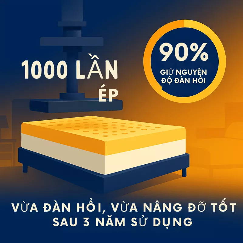 Vừa Đàn Hồi Vừa Nâng Đỡ Tốt